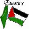 Palestine Flag and Map