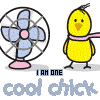 i'm 1 cool chick