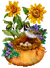 Birdnest In Sunflower Pot