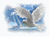 spirit dove
