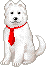 dog with red tie