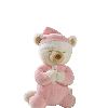 teddy bear praying