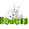 White Bunnies: Rowena