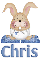 bunny chris