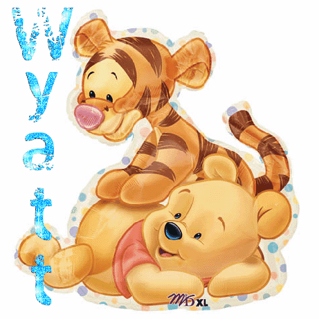 Wyatt- Baby Tigger & Pooh