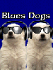blue dogs