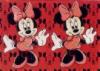  Minnie & MIckey in total love