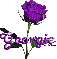 purple rose georgie