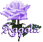 purple rose aggela