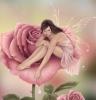 Fairy on a rose