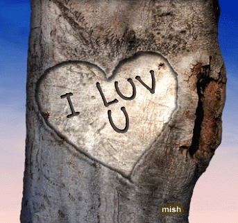Love in a tree
