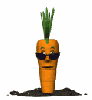 disguised carrot