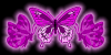 Deep Pink Butterflies