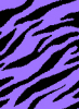 purple zebra print