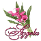 Pink Lily: Aggela