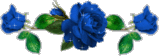 BLUE ROSES