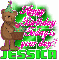 Jessica,Happy Birthday