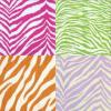 rainbow zebra collage
