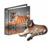 TIGER WITH A BOOK