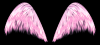 pink wings tube