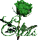 green rose elvis