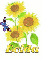loida sun flower