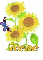 rene sun flower