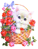 Kitty with flowers