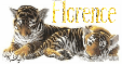 Tiger Cubs - Florence