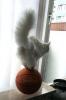 basketball kitty