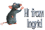 Rat: Hi from Ingrid