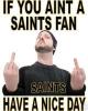 saints fan
