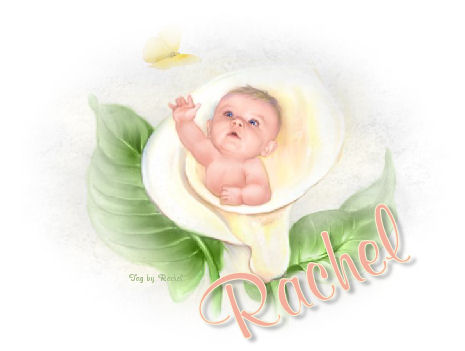 baby in flower