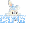 rabbit-Carla