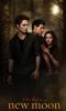 New Moon Poster Brown 123456789
