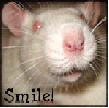 Smile Rat