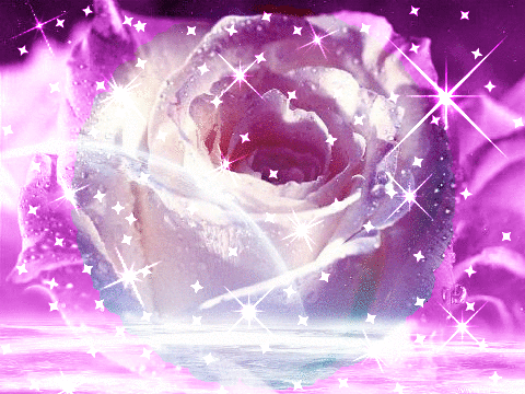 glittering rose