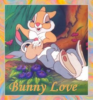 Bunny Love