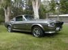 GT 500 Shelby Mustang 1967