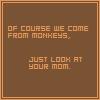 Your Mom Monkey