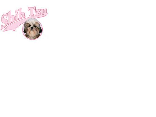 pink shih tzu