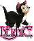 Cute Kitten - Bernice