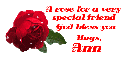 Rose ANN