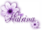 Purple Flower - Katrina