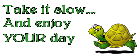 Enjoy your day Turtle