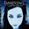 Evanescence _-_ Fallen