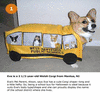 Bus Dog
