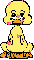 A ducky hello
