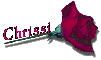 Red Rose - Chrissi