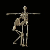 kung fu skeletons